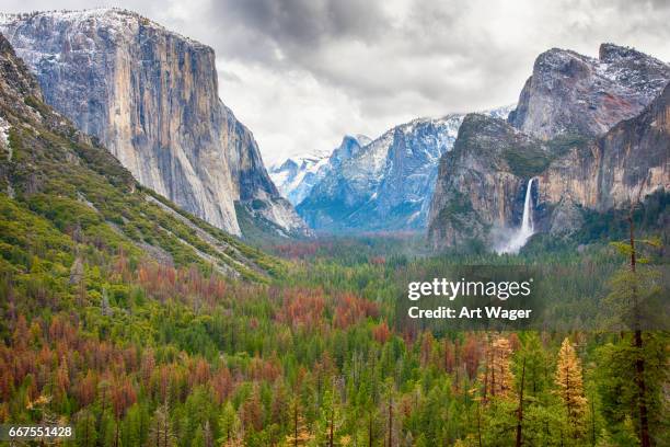 yosemite national park - el capitan yosemite national park stock pictures, royalty-free photos & images