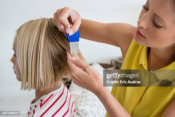 mother using lice comb on daughters hair - combing stock pictures, royalty-free photos & images