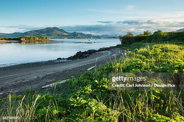 view of kukak bay, katmai national park and preserve, southwest alaska, summer - cook inlet stock pictures, royalty-free photos & images
