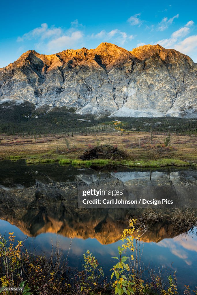 Mt. Sukakpak catches the last light of the evening north of Wiseman, in the Brooks Range, Arctic Alaska.