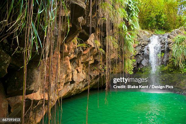 lagoon with small waterfall, annandale falls - insel grenada stock-fotos und bilder