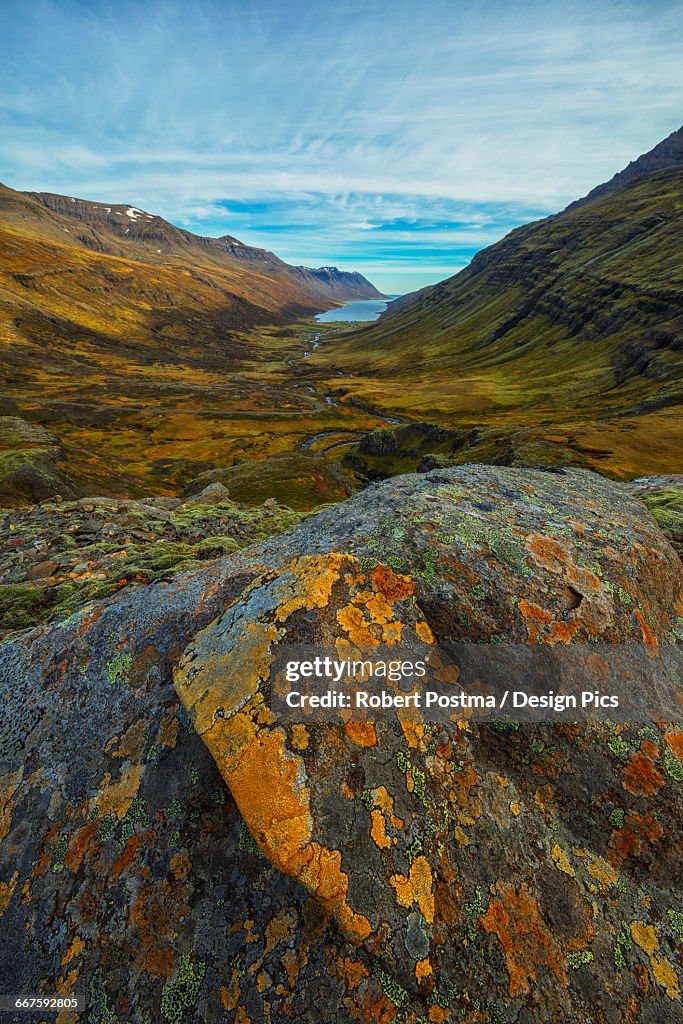 Mjoifjordur is a fjord on Icelands Eastern coast, a lichen covered rock in the foreground while the fjord extends out behind it