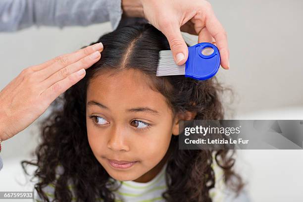 mother using lice comb on daughters hair - lausd stock-fotos und bilder