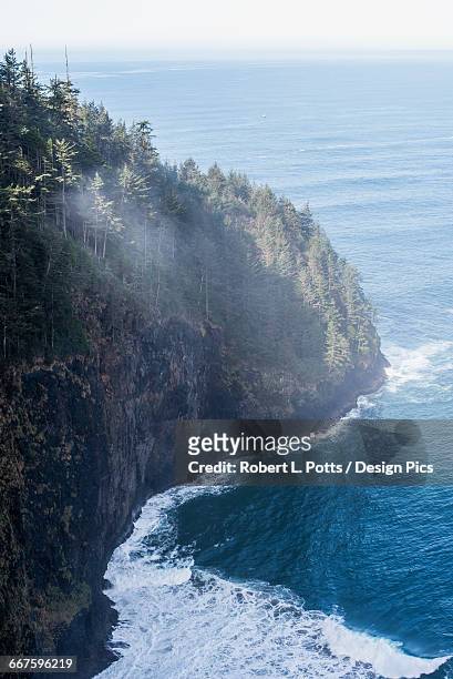 looking out on the vast pacific ocean from cape lookout - cape lookout national seashore stock pictures, royalty-free photos & images
