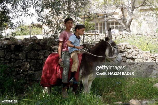 Young Israeli settlers ride a donkey near the Israeli settlement of Tal Romeda close to al-Shuhada Street, in the West Bank town of Hebron on April...