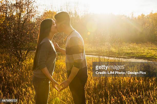 a young asian couple kissing in a park in autumn and making a heart with their hands in the warmth of the setting sun - edmonton sunset stock pictures, royalty-free photos & images