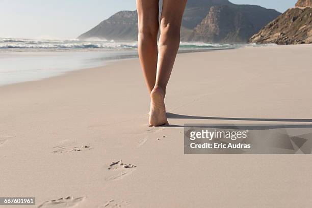 low section view of a woman walking on the beach - female feet stock-fotos und bilder