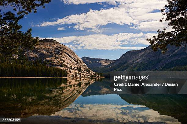 view of tenaya lake along tioga pass, yosemite national park - yosemite daniel stock-fotos und bilder