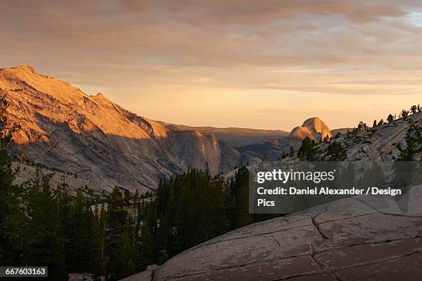 sunset view from olmsted point towards half dome, yosemite national park - yosemite daniel stock-fotos und bilder