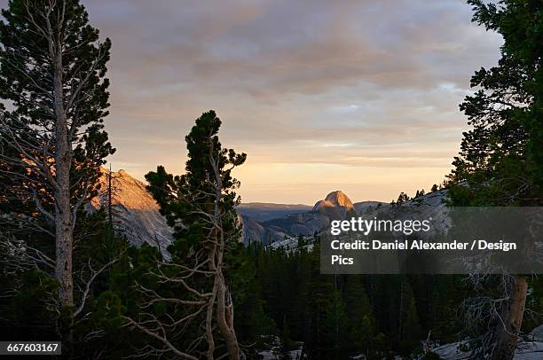 sunset view from olmsted point towards half dome, yosemite national park - yosemite daniel stock-fotos und bilder