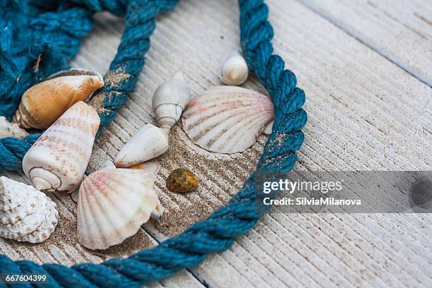 Shells On Rope Rope Shells Photos and Premium High Res Pictures - Getty Images