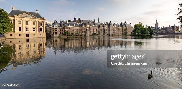 binnenhof, the hague, holland - binnenhof 個照片及圖片檔