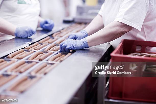 factory workers on tofu sausage production line - sigrid gombert stock-fotos und bilder