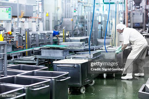 male worker working in organic tofu production factory - food processing plant stock pictures, royalty-free photos & images