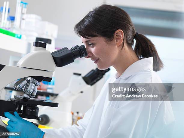 Lab Human Sample Tissue Sample Lab Photos and Premium High Res Pictures - Getty Images