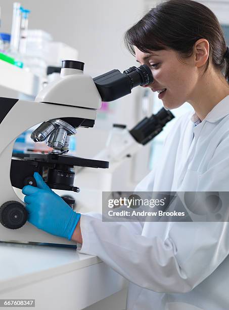 Tissue Sample Lab Photos and Premium High Res Pictures - Getty Images
