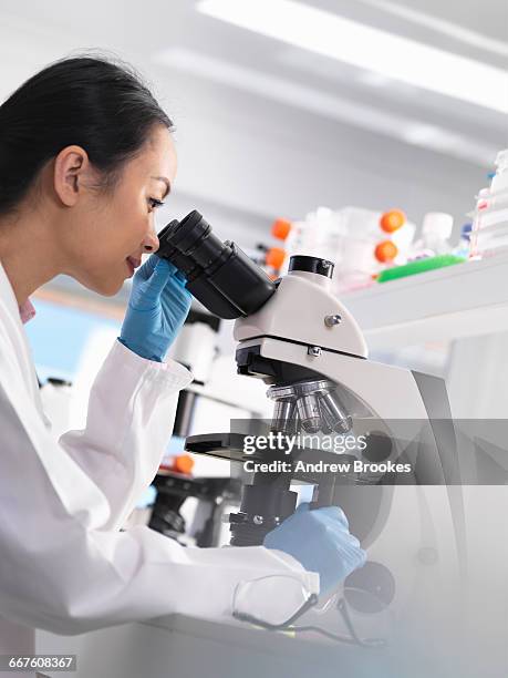Path Lab Slides 279 Pathology Lab Slide Stock Photos, High-Res Pictures, and Images ...