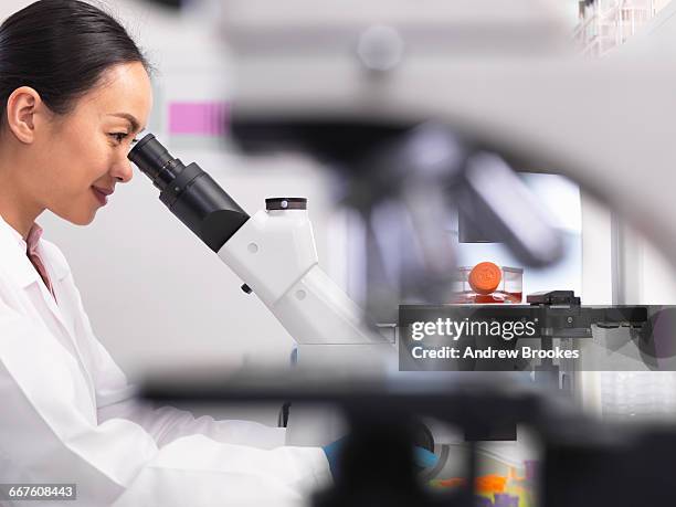 female scientist examining cell cultures growing in a culture jar by using a inverted microscope in the laboratory - stem cell growth stock pictures, royalty-free photos & images