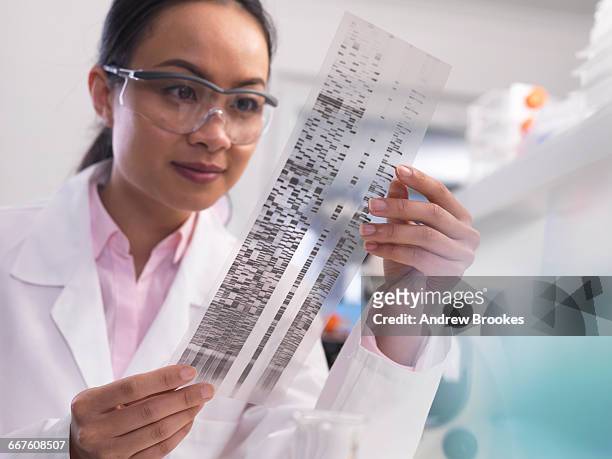 scientist viewing a dna profile experiment in a laboratory - dna test stock pictures, royalty-free photos & images