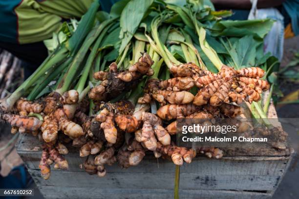 turmeric (curcuma) root for sale in a market, pondicherry, india - india "malcolm p chapman" or "malcolm chapman" stock-fotos und bilder