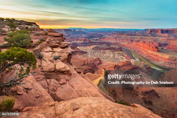 dead horse canyon state park sunrise - utah state parks stock pictures, royalty-free photos & images