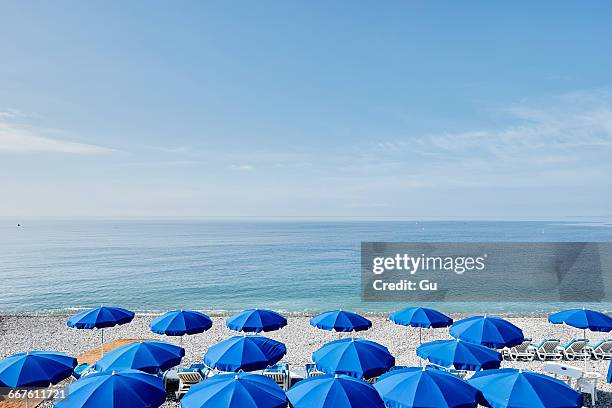 rows of blue beach umbrellas, nice, cote dazur, france - parasol photos et images de collection