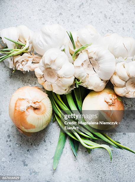 overhead view of onions and garlic bulbs - knoflook stockfoto's en -beelden