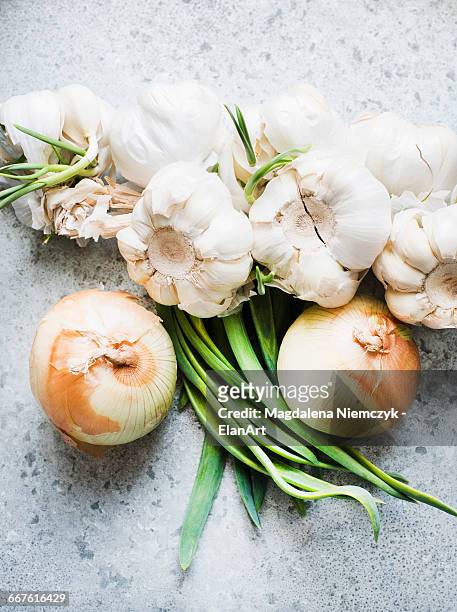 overhead view of onions and garlic bulbs - onion stock pictures, royalty-free photos & images