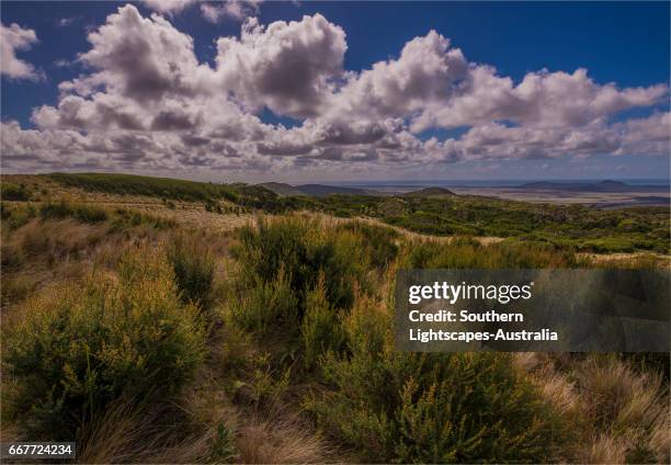 88 Strzelecki Ranges Stock Photos, High-Res Pictures, and Images ...