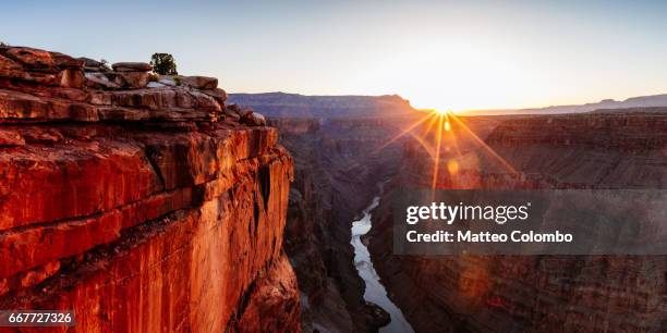 sunrise at toroweap point, grand canyon, usa - toroweap point stock pictures, royalty-free photos & images