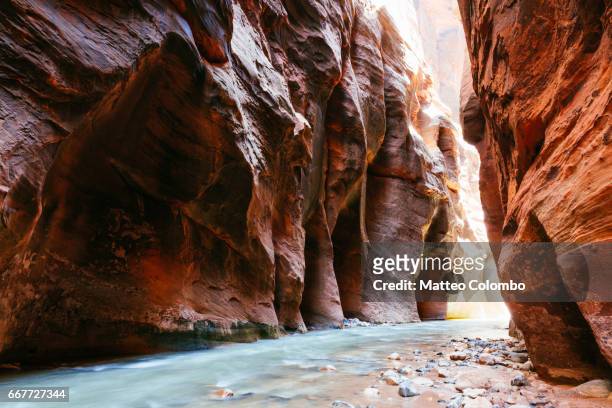 the narrows, zion canyon national park, usa - zion national park stock-fotos und bilder