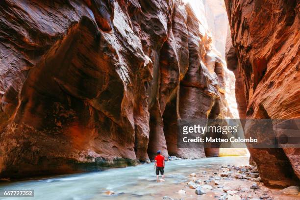 man hiking in the narrows, zion national park, usa - utah stock pictures, royalty-free photos & images