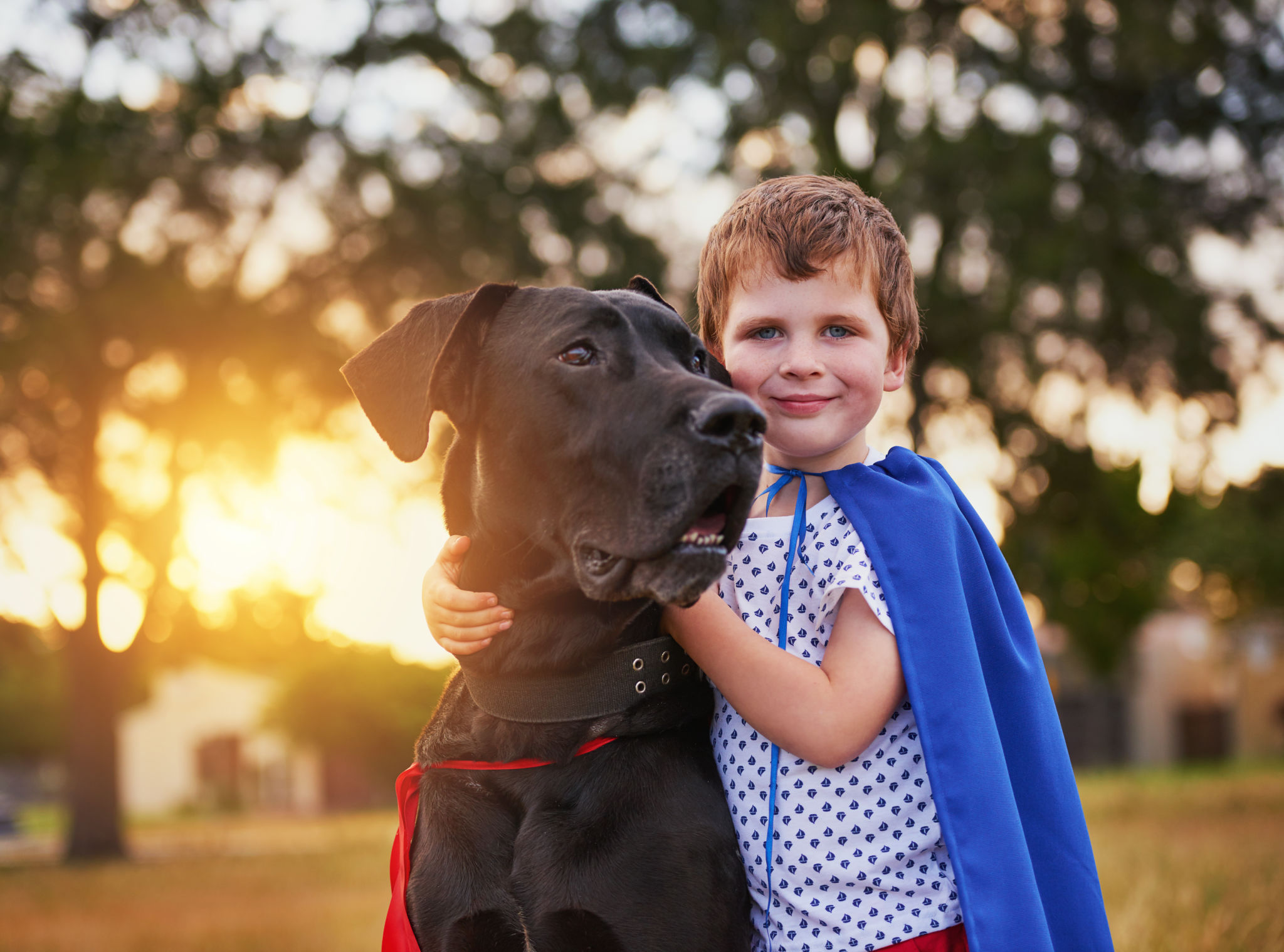 large dog small child