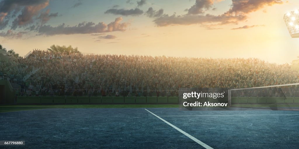 Tennis: Campo da gioco