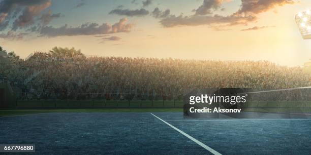 tennis: playing court - tennis crowd stock pictures, royalty-free photos & images