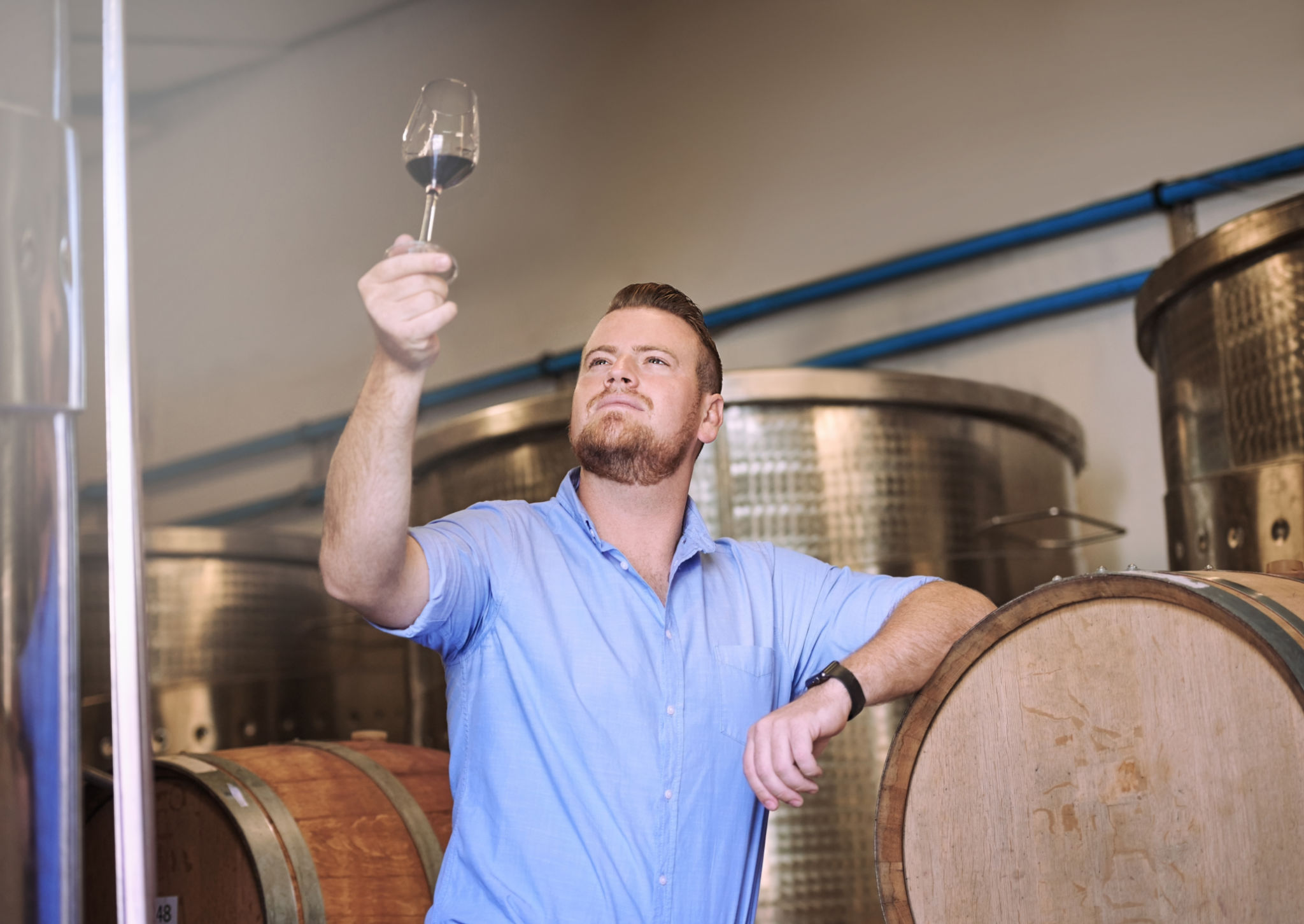 wine barrels