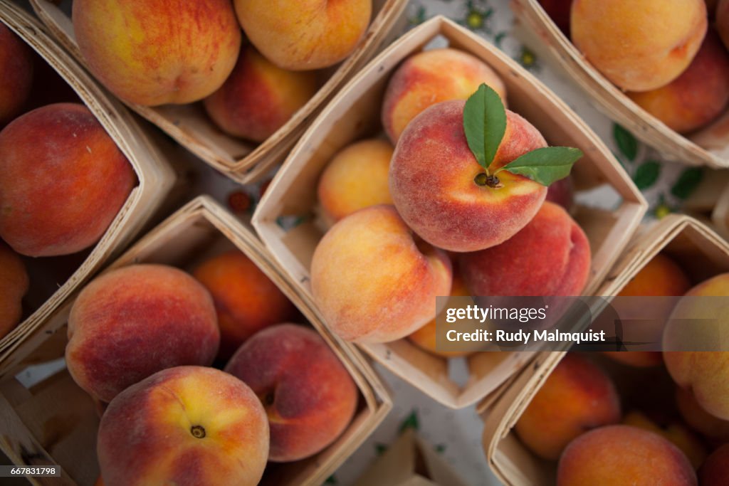 Peaches by the Quart