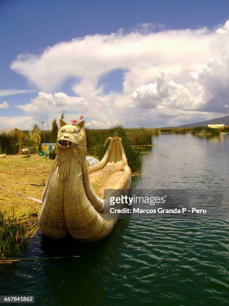 rafting of totora in the titicaca - lago titicaca 個照片及圖片檔