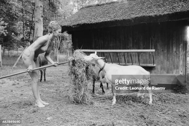 French actress Brigitte Bardot feeds goats at her home.