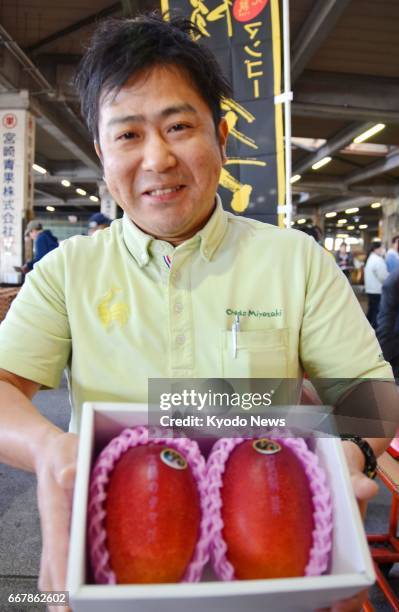 Man holds up a box of a brand-name pair of mangoes, "Taiyo no Tamago" , at a wholesale market in Miyazaki, southwestern Japan, on April 13, 2017. The...