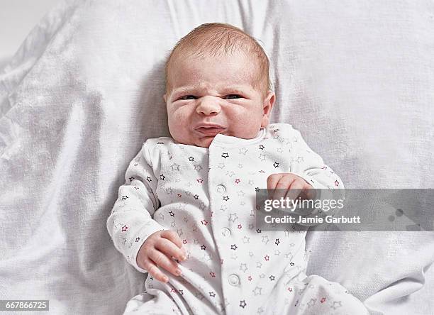 a studio portrait of a month old baby - newnaivetytrend stock-fotos und bilder