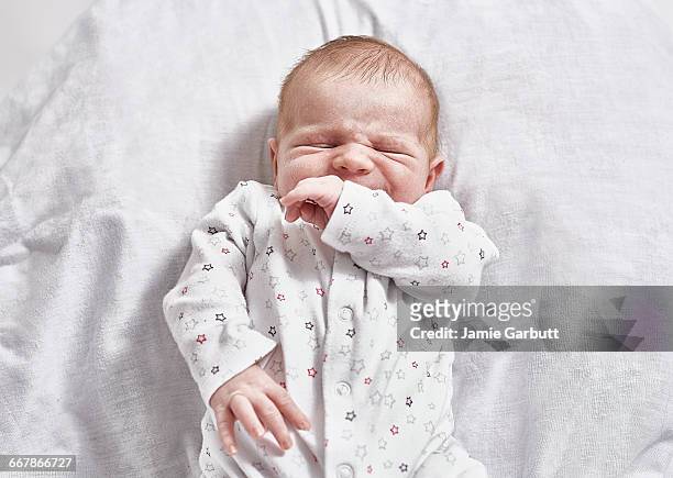 a portrait of a month old baby - newnaivetytrend stock-fotos und bilder