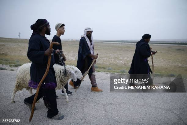Members of the "Beit Yisrael" sect, part of the African Hebrew Israelite Nation of Jerusalem, march before they slaughter a lamb during a Passover...