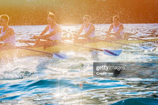 vier mannen roeien op een meer - wrikken roeisport stockfoto's en -beelden