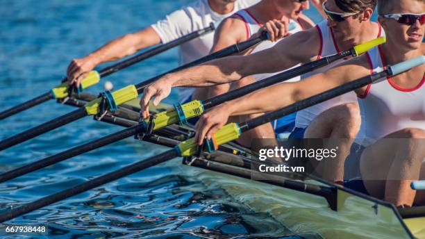 four men rowing - coxswain stock pictures, royalty-free photos & images