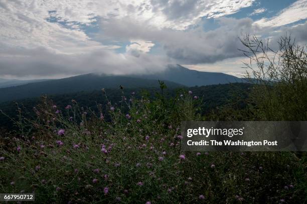 View from Sky Drive in Shenandoah National Park, VA, on August 8, 2016. The National Park Service will be 100 years old on August 25, 2016.