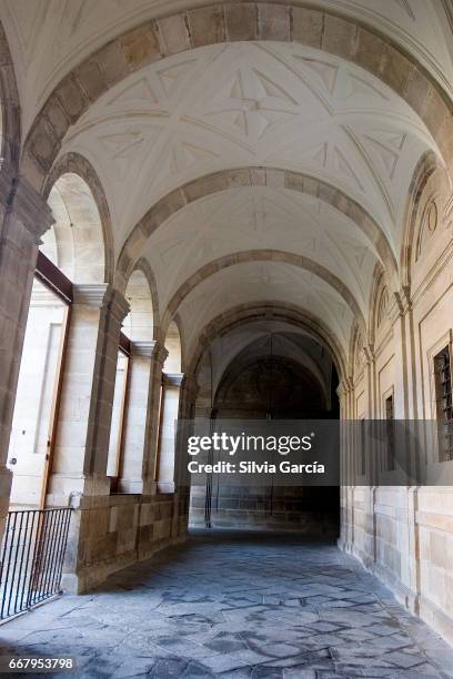 catedral del salvador, zamora - espiritualidad 個照片及圖片檔