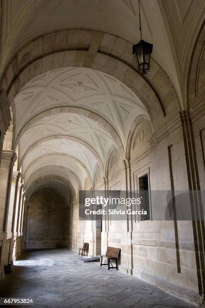 catedral del salvador, zamora - espiritualidad 個照片及圖片檔