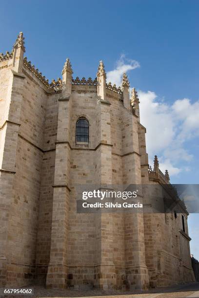 catedral del salvador, zamora - espiritualidad ストックフォトと画像