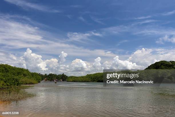 caraiva , bahia , brazil - areia stock-fotos und bilder